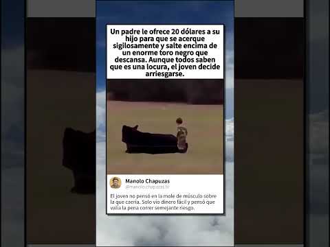 Por Que Nunca Debes Saltar Un Toro