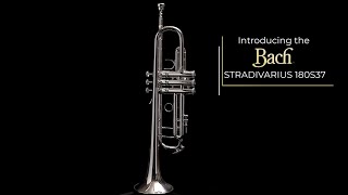 Video thumbnail for The Bach Stradivarius 180S37 by connselmerinc