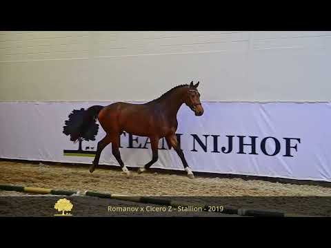 1. Olympus TN (Romanov X Cicero Z van Paemel)