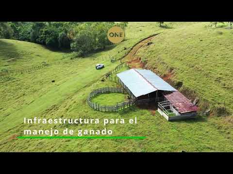 Terreno Agricola y Ganadero de 83 hect, en Sarapiquí, Heredia