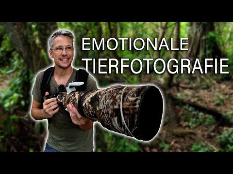 Erfolgreich WILDLIFE fotografieren! Diese Tierfotografie Tricks habe ich noch nie verraten!