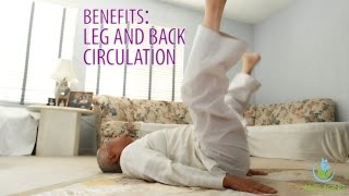 Leg & Back Circulation Exercise