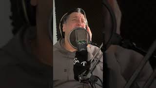 חיים ישראל - צל עץ תמר