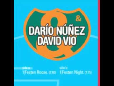 Dario Nuñez & David Vio - Festen Roose (Original Mix)