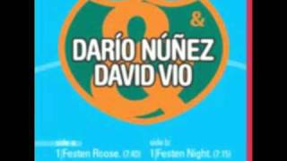 Dario Nuñez & David Vio - Festen Roose (Original Mix)
