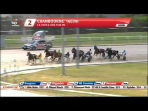 Harness Racing- Cranbourne- Race 2- January 3, 2016