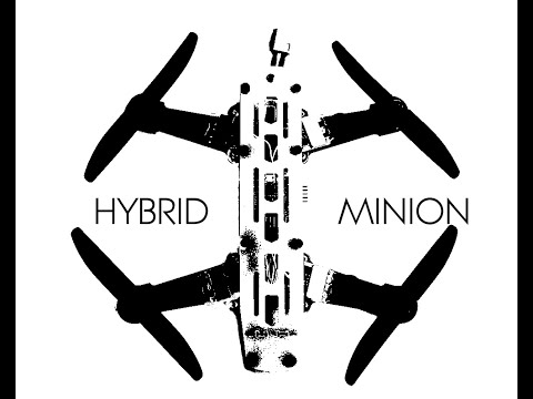 Cleanflight on 218mm Minion at Fink park