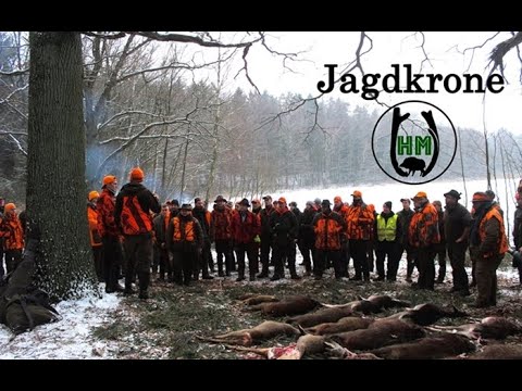 Drückjagd bei den Hunter Brothers | Brombeer-Keiler & Damwild | HOD Trailer - Jagdkrone