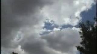 Mudhoney - A Brief Celebration of Indifference