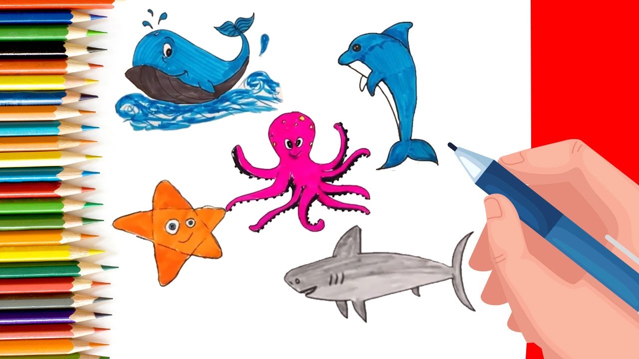How to draw Baby whale, dolphin, Octopus, star fish and more