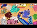 I Find Huge In Snake Io Epic SnakeIo Gameplay Snake Io