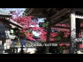 STAR RIDER／KAT TUN／Relaxing Music 