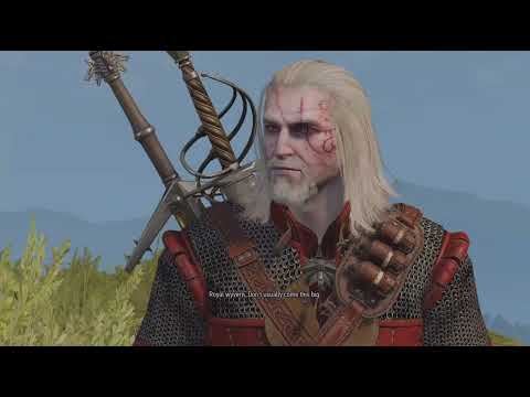 The Witcher 3: New Game+ Pt 97 Streaming on Twitch Theswampfreakgamer72 Over 50