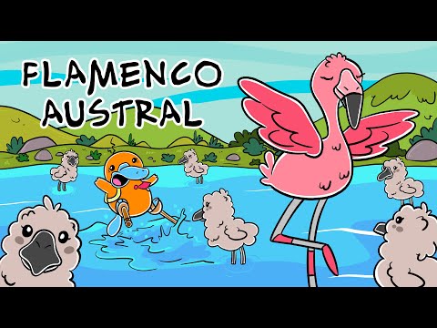 Hola Flinko - Flamenco Austral / Capítulo 16 Completo Temporada 1