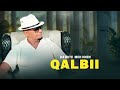 New Oromo Music Dawite Mekonen QALBII Official Music Video 2026