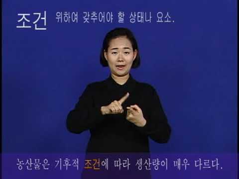 「검색」의 한국수어 표현