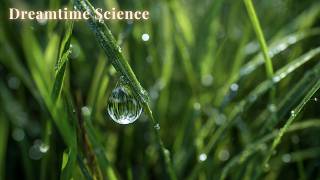 Explore Nature's Mathematical Patterns