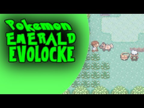 A Brand New Adventure! Pokemon Emerald Evolocke Episode 1
