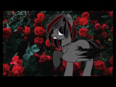 (Пони-Клип) Розы🌹 🌹 🌹 (Спасибо за 1к❤️)