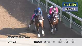 2025年かしわ記念調教VTR