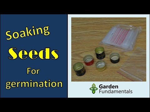 , title : 'Best way to soak seeds for (fast) germination