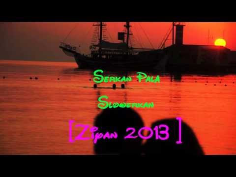 Serkan Pala Ft Slowerkan - Zarar Ziyan