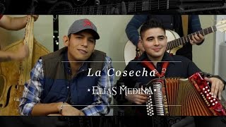 La Cosecha- Elías Medina
