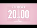 20 Minute Countdown Timer Flip Clock With Simple Beeps
