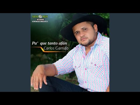 Recójame Las Botellas