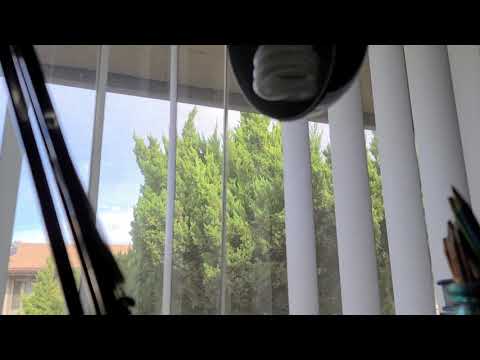 California Strong Wind on January 19, 2021