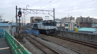 preview picture of video 'EF64形1000番台単機回送 尻手駅到着 Class EF64 Locomotive'