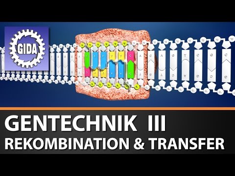 Trailer - Gentechnik III - Rekombination und Transfer - Biologie - Schulfilm