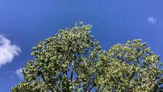 3.11震災から10年 日本国よ、しっかりせよ！