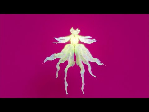 Video thumbnail for Not a Love Song