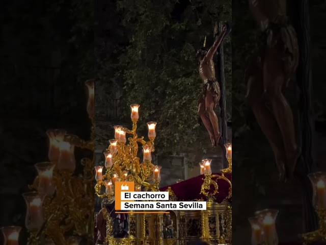 Vídeo relacionado con Guayaba Pulsera de tela cofrade Hermandad El Cachorro Sevilla