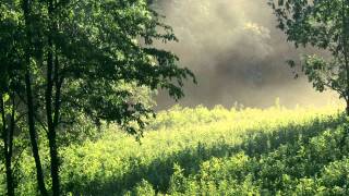 Lucy Wainwright Roche &quot;B. Allen&quot; lyrics