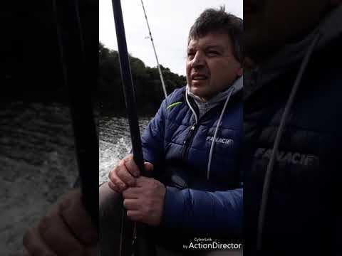 Pesca en Arroyo Malo