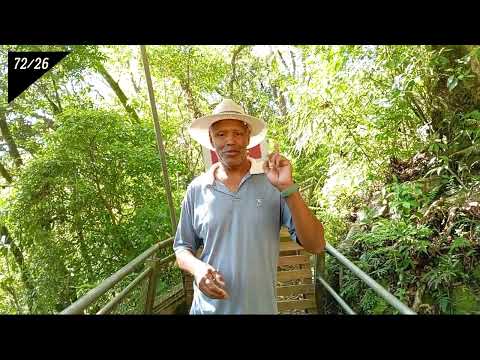 PARQUE DO MONGE- CIDADE DA LAPA - PARANÁ