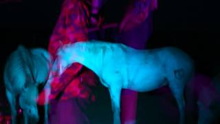 Camera - Synchron (official)