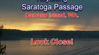 preview picture of video 'KAYAKING at Sunset! Puget Sound, Camano Island, Washington. Cyberlink Powerdirector Video'