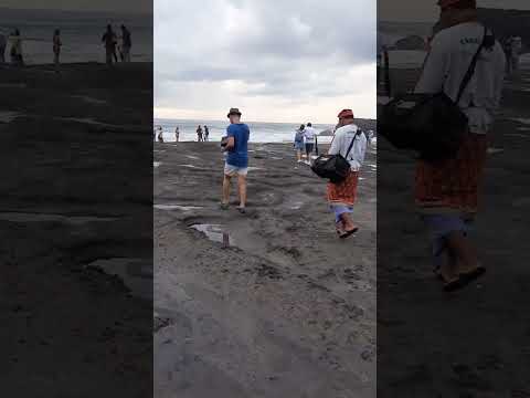 Did you explore Tanah Lot Temple in Bali?