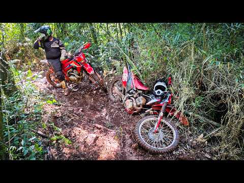 MOTO QUEBROU NO MEIO | 9° MEIA TRILHA LOKOS DO MATO | PRANCHITA-PR | CRF 230