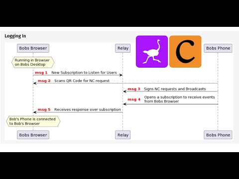 Nostr Connect CLI Explainer and Demo video thumbnail