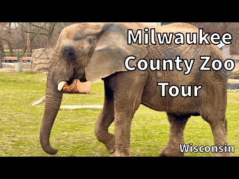 Tour of the Milwaukee County Zoo [2025] - Milwaukee, Wisconsin - USA