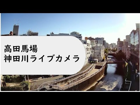 高田馬場・神田川 新宿区