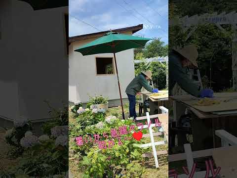 庭の小屋の作り方は？楽園の一角の方法、手順、メリット  庭園