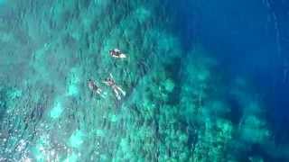 preview picture of video 'Roatan Honduras - Amazing Aerial Video'