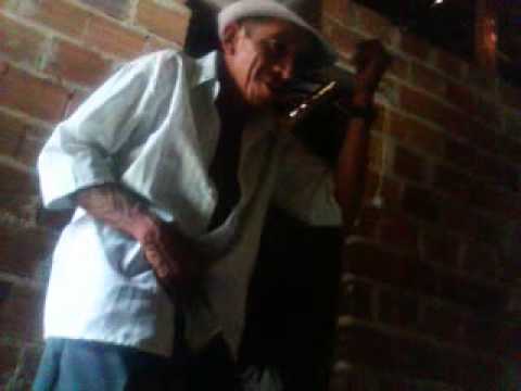 Bida dizendo ki ta animado