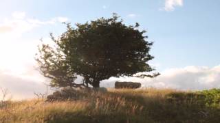 West Sligo Shifting Summer Sands