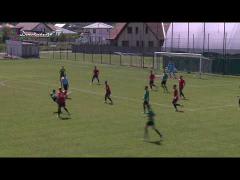 ACS Dumbravita - AS Vointa Biled 0 - 1